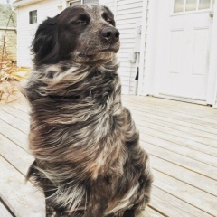 Андрей Неспроста, 24.10