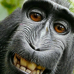 Михаил Македонский