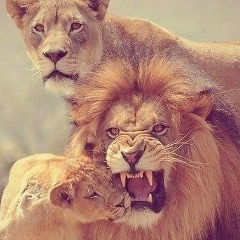 Жако Абдирахманов, 09.08.1984, Актау