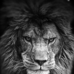 Еркин Н, 01.02.1998, Актобе