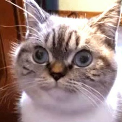 Александр Трофимов, 03.06