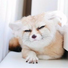 Светлана Русских, Москва