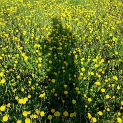 Иван Попов, 01.10.1994, Королёв