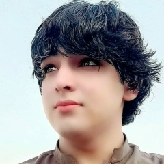 Abid Khanniazi, 01.01.1996