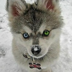 Марина Иванова, 02.12.2000, Уфа