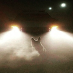 Бислан Личаев