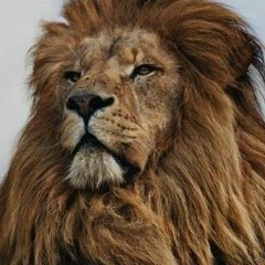 Асыл Назарбаев, 04.08.1982, Актобе