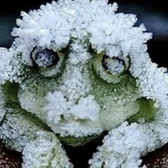 Ярослав Каетко, 29.08, Москва