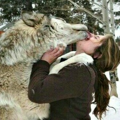 Солнечный Блик