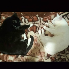 Анастасия Гусева, 03.12, Санкт-Петербург