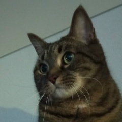 Юля Копысова, 19.04.1930, Санкт-Петербург