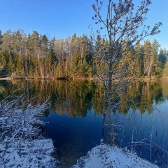 Евгений Попов, 06.07, Санкт-Петербург