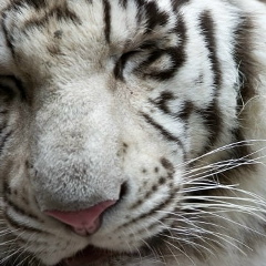 Кирилл Филинов, 06.07, Москва