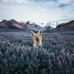 Мира Нурканова, 01.07.1987, Астана