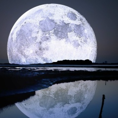 Виталий Светлов, Днепр (Днепропетровск)