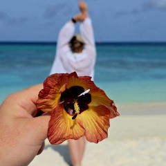 Светлана Романова, 28.07, Москва