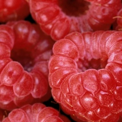 Айжан Жуасбекова, 12.01, Алматы