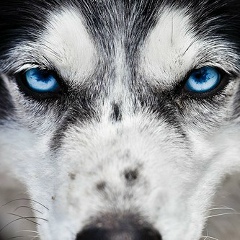 Максим Климков, 20.11.1973, Щелково