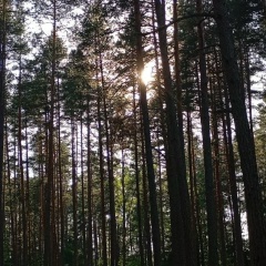 Светлана Долгович, 16.04, Санкт-Петербург