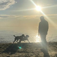 Кирилл Панкрашев