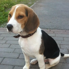 Вячеслав Григорьев, 28.03.1989