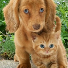 Людмила Войтаник, 21.06.1972, Алматы