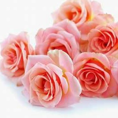 Инна Шевелюк, 20.03.1980, Киев