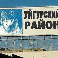 Alim Artikov, Воронеж