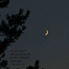 Сулейман Гериханов, Краснодар