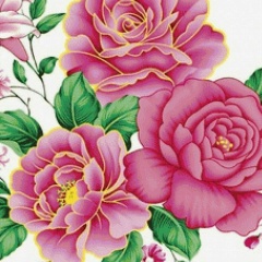 Фарида Алдашева, 01.10.1991, Актау