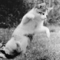 Андрей Гаврилов, 24.03.1989, Москва