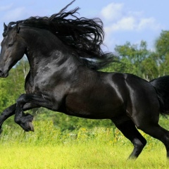 Инна Кисилева, 29.03.1978, Черновцы