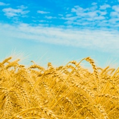 Наталья Билык, 21.07.1987, Хмельницкий