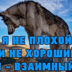 Артем Артемов, 12.08, Самара