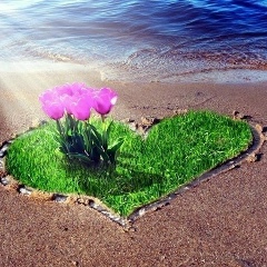 Жадыра Мелдеханқызы, 17.12.1993