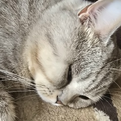 Рамиль Юсупов, 12.12.1992, Алматы