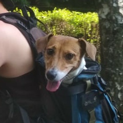 Владимир Кузьмин, 15.02.1988