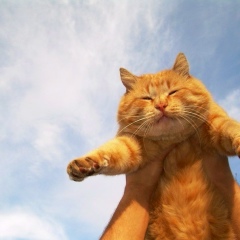 Руслан Лучик, 10.02, Москва