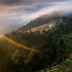 Gevorg Qocharyan, 17.03, Ереван
