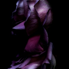 Ирина Клестова, 27.06, Уфа