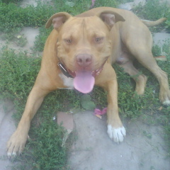 Valera Tsymbalenko, 01.03, Leipzig