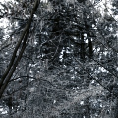 Эльдар Хагажеев