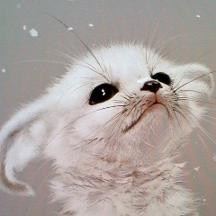 Оксана Коваленко, 04.08, Сумы