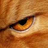 Евгения Рубцова, Москва