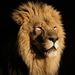 Azamat Turganbekuly, 25.06.1994