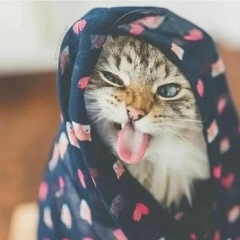 Анастасия Бубликова