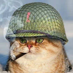 Максим Плигин, Нижний Новгород