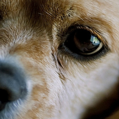 Кирилл Рец, 31.03, Вологда