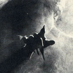 Алина Салтыкова, Москва