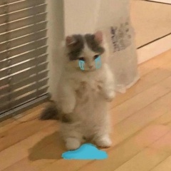 Дархан Рашидов, 03.03